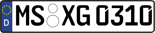 MS-XG0310