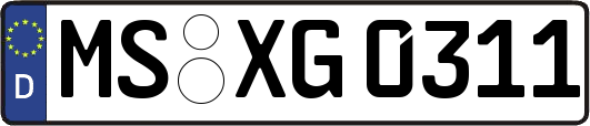 MS-XG0311