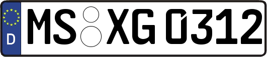 MS-XG0312