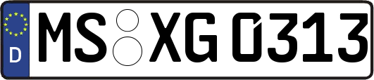 MS-XG0313