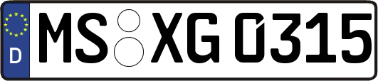MS-XG0315