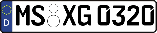 MS-XG0320