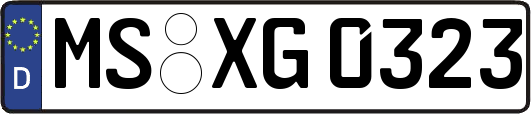 MS-XG0323