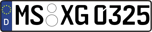 MS-XG0325