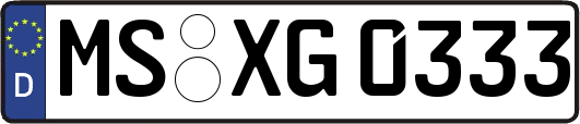 MS-XG0333