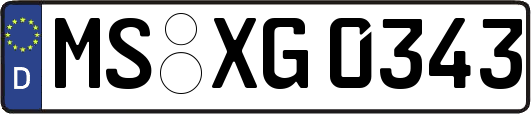 MS-XG0343