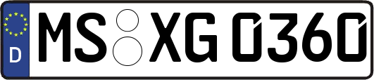 MS-XG0360