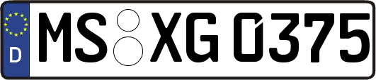 MS-XG0375