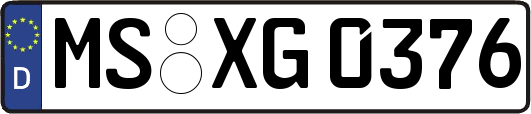 MS-XG0376