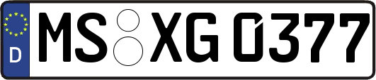 MS-XG0377