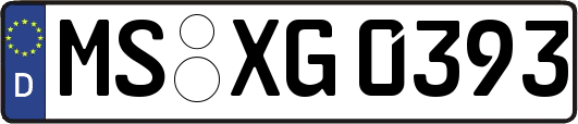 MS-XG0393
