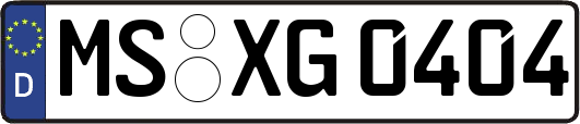 MS-XG0404