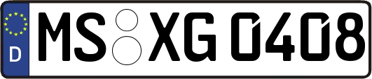 MS-XG0408