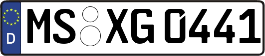 MS-XG0441