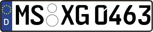 MS-XG0463