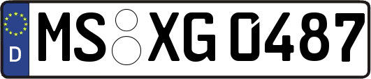 MS-XG0487