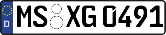 MS-XG0491