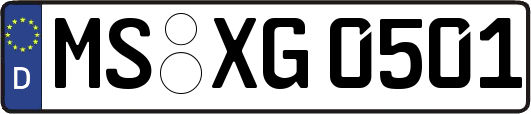 MS-XG0501