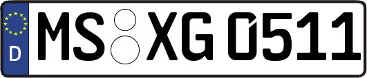 MS-XG0511