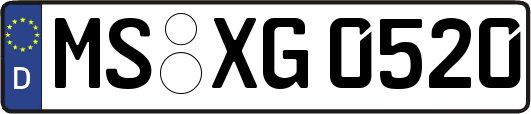 MS-XG0520