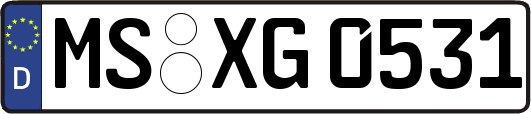 MS-XG0531