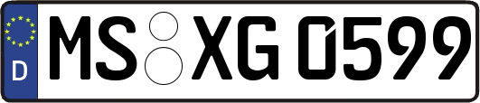 MS-XG0599