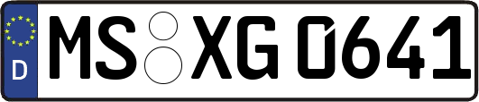 MS-XG0641