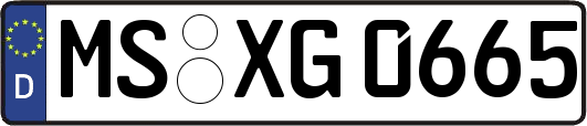 MS-XG0665