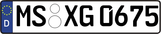 MS-XG0675