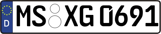 MS-XG0691