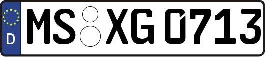 MS-XG0713