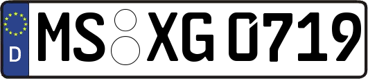 MS-XG0719