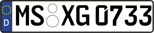 MS-XG0733
