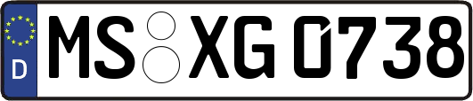 MS-XG0738
