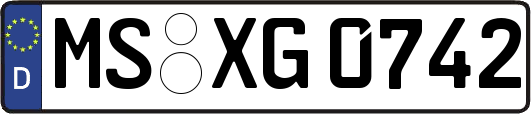 MS-XG0742