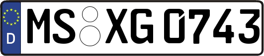MS-XG0743