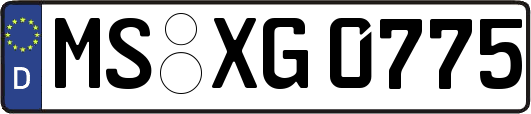 MS-XG0775