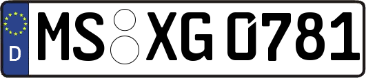 MS-XG0781