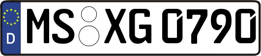 MS-XG0790