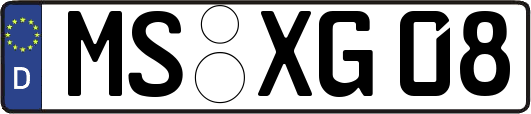 MS-XG08