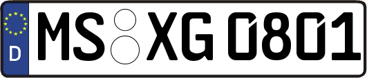 MS-XG0801