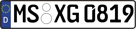 MS-XG0819