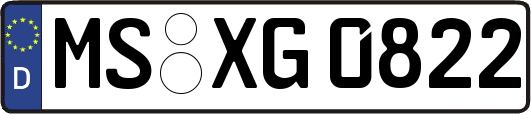 MS-XG0822
