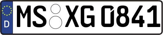 MS-XG0841