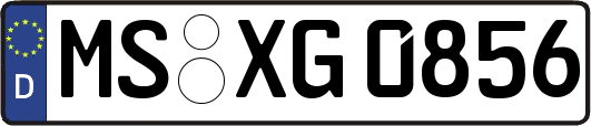 MS-XG0856