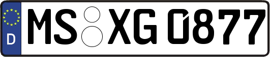 MS-XG0877
