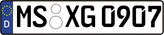 MS-XG0907