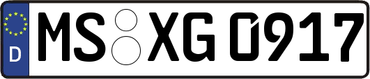 MS-XG0917