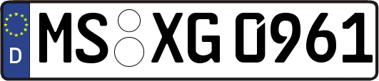 MS-XG0961