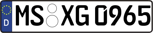 MS-XG0965